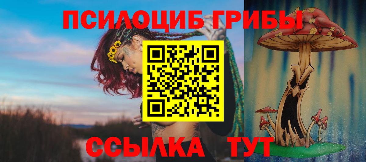 Сердобск  Псилоцибиновые грибы мицелий  Вход с VPN 